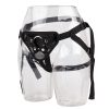 Harness