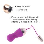 Purple Black Bullet Adult Toys Vibrators Wireless Remote Control Egg Sex Product For Women - 4