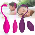 Wireless Jump Eggs Kegel Balls For Women Sex Toys Remote Control Vibrator Usb Charging Vaginal Egg Massage G Spot Vibrador Cj