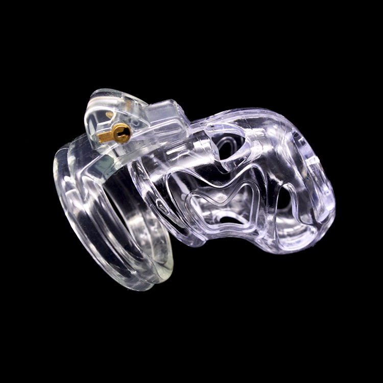Hollow Male Chastity Cage With 4 Rings Adult Erotic Game Penis Bondage Lock Toy - 8
