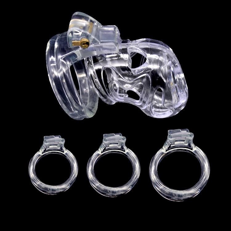 Hollow Male Chastity Cage With 4 Rings Adult Erotic Game Penis Bondage Lock Toy - 7
