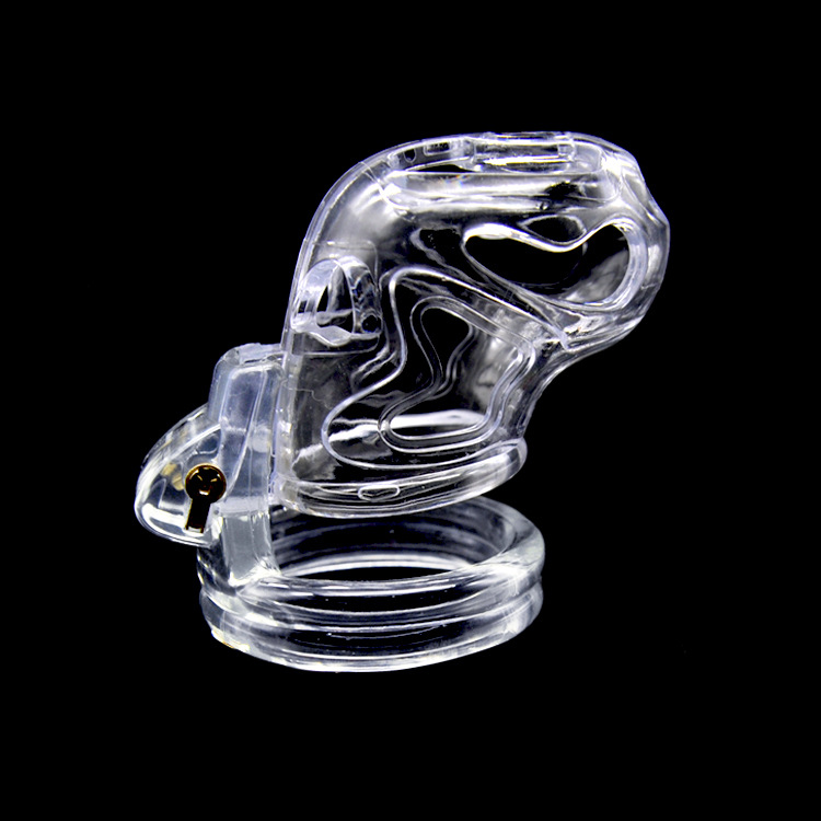 Hollow Male Chastity Cage With 4 Rings Adult Erotic Game Penis Bondage Lock Toy - 6