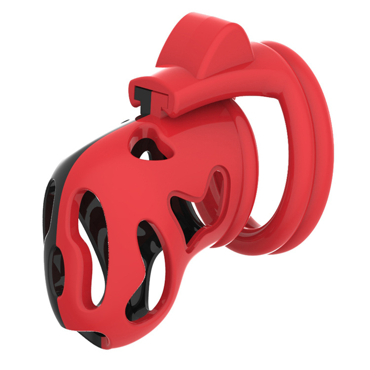 Hollow Male Chastity Cage With 4 Rings Adult Erotic Game Penis Bondage Lock Toy - 5