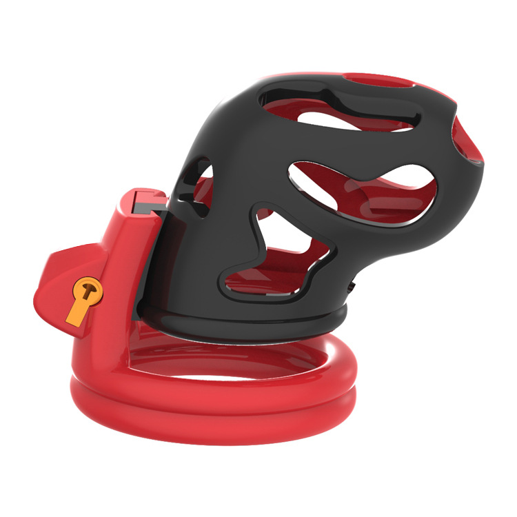 Hollow Male Chastity Cage With 4 Rings Adult Erotic Game Penis Bondage Lock Toy - 4
