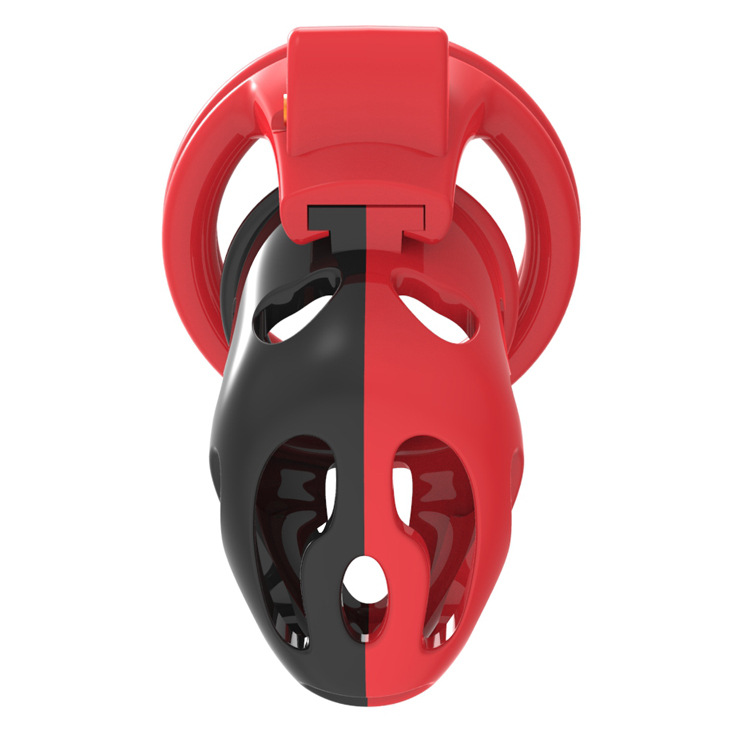 Hollow Male Chastity Cage With 4 Rings Adult Erotic Game Penis Bondage Lock Toy - 3