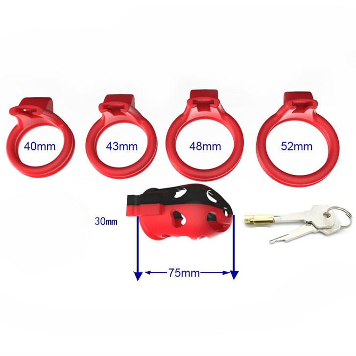 Hollow Male Chastity Cage With 4 Rings Adult Erotic Game Penis Bondage Lock Toy - 2