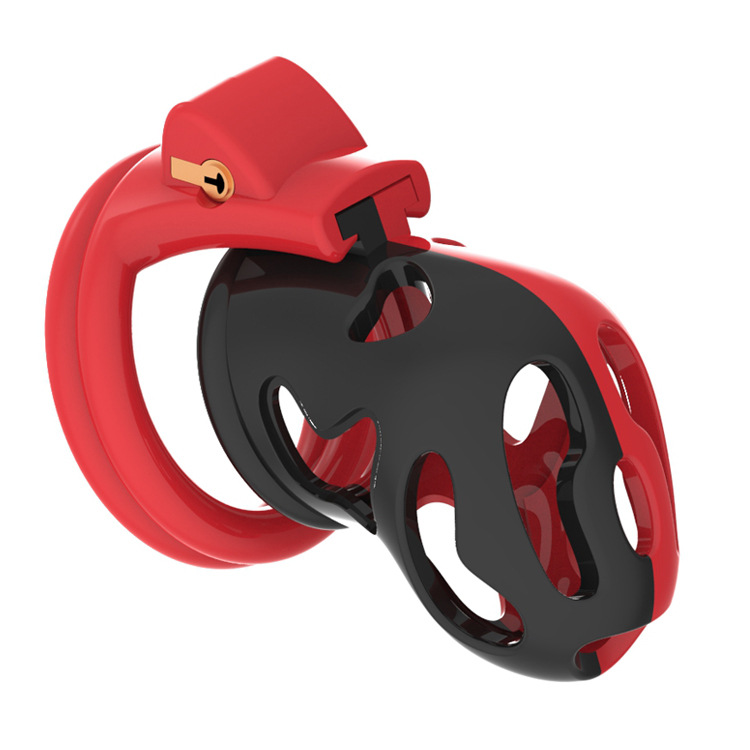 Hollow Male Chastity Cage With 4 Rings Adult Erotic Game Penis Bondage Lock Toy - 1