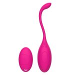 Vibrating Egg Vaginal Balls Remote Control Vibrator For Women G Spot Kegel 10 Speed Erotic Adult Toys Sex Shop - 4