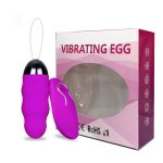 10 Speeds Vibrator Sex Toys For Woman With Wireless Remote Control Silent Bullet Vibrating Egg Usb Rechargeable Adult