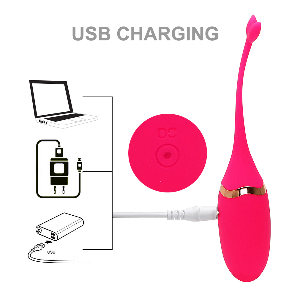 Silicone Kegel Exercise Ball 10speed Gspot Stimulation Remote Control Vaginal Tightening Sex Toy - 4
