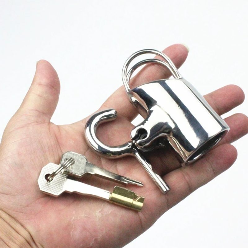 Stainless Steel Pa Puncture Cock Cage Male Chastity Device With Stealth Lock Penis Ring Belt For Adult Game