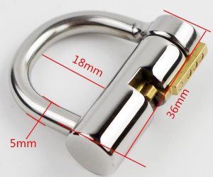 2020hot Titanium D-ring Pa Lock Glans Piercing Male Chastity Device Penis Harness Restraint Leashes Fitting Puncture - 2