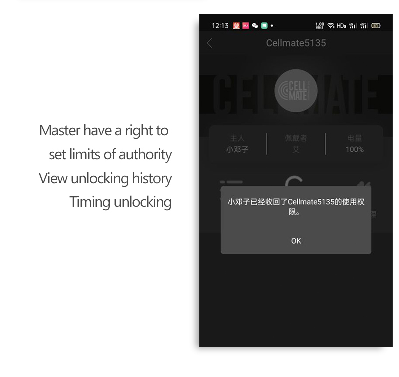 Qiui Cell Mate Chastity Cage Bluetooth Controlled Male Device With Cock Ring Virginity Maintaining Sex Toys For Men - 7