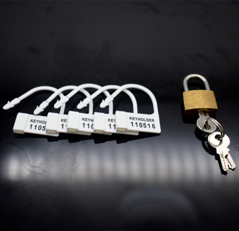 Male Chastity Device Breathable Plastic Cock Cage Various Sizes Secure Brass Lock Intimate Adult Sex Toy - 17