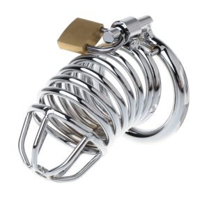 Prison Bird Male Stainless Steel Cock Cage Penis Ring Chastity Device Catheter With Stealth Lock Adult Sex Toy