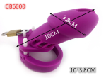 Cb6000 Cb6000s Purple Male Silicone Chastity Device Penis Lock Cock Cage & Brass Adult Sex Toy For Men Belt G7-2-6 - 2