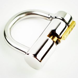 5mm Cock Cage Ring Lock Prince Albert Locked Chastity Piercing Titanium D-ring Pa Glans Puncture Bdsm Key
