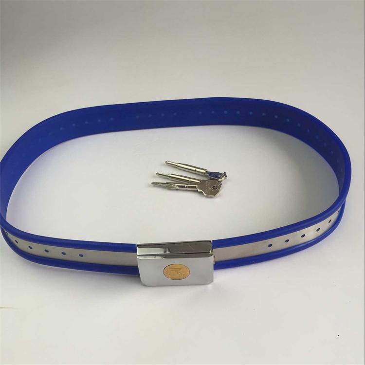 Quality Stainless Steel Silicone Female Chastity Belt Adjustable Fetish Panties With Vaginal Anal Plug Adult Sex Toy - 17