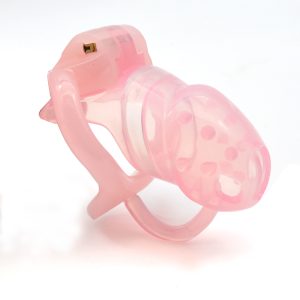 Ht V3 Cock Cage Penis Ring Male Small Standard Barbed Silicone With Fixed Resin Chastity Device Adult Sex Toys A362-3