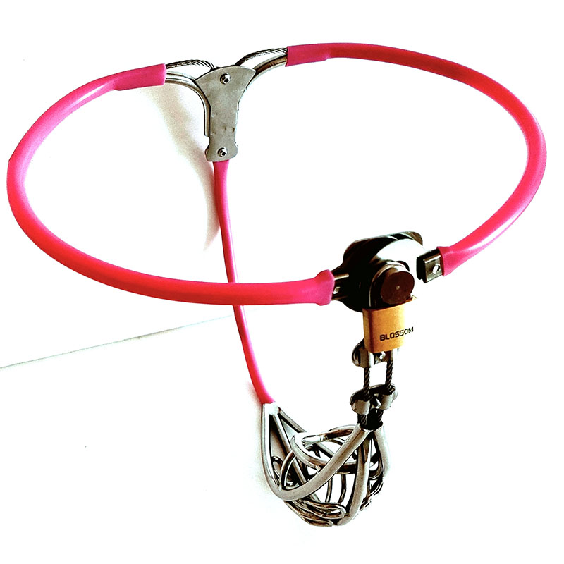 Adjustable Male Chastity Belt Metal Waist Underwear With Stool Hole And Penis Cage For Men - 16