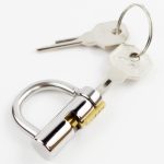 5mm Cock Cage Ring Lock Prince Albert Locked Chastity Piercing Titanium D-ring Pa Glans Puncture Bdsm - 5