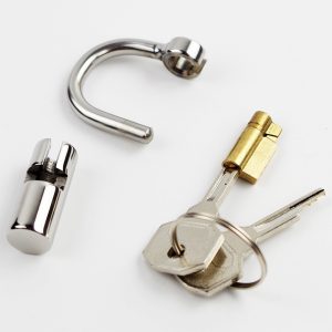 5mm Cock Cage Ring Lock Prince Albert Locked Chastity Piercing Titanium D-ring Pa Glans Puncture Bdsm