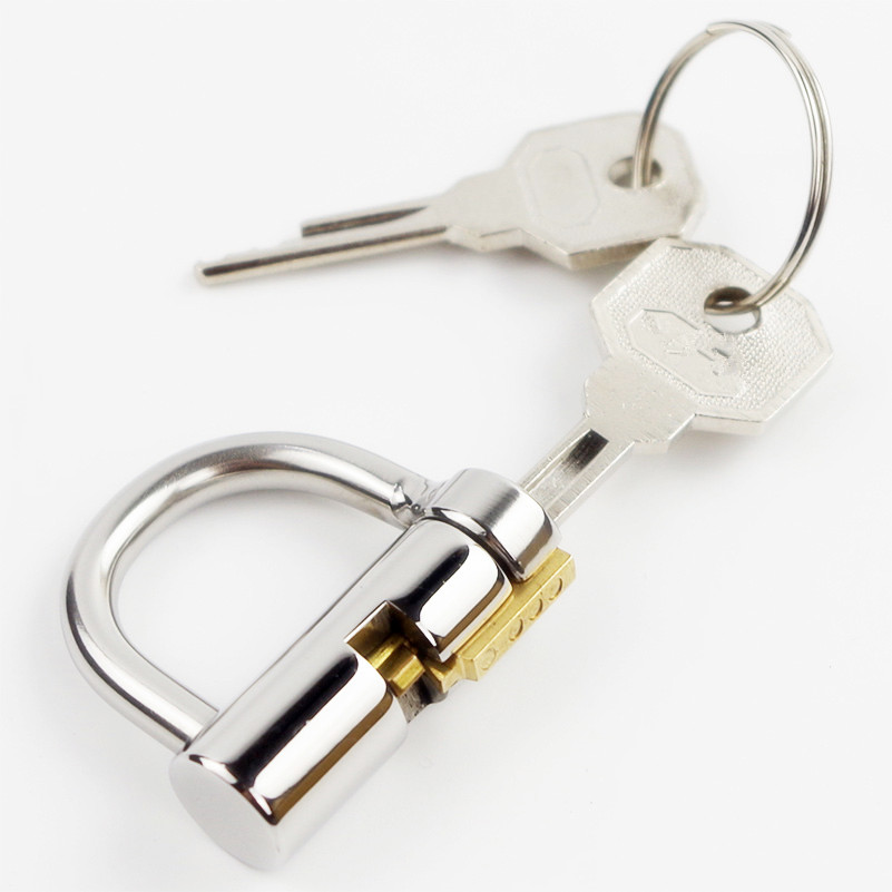 Titanium 5mm Dring Prince Albert Chastity Cage Glans Puncture Piercing Locked Bdsm Cock Ring Lock - 6