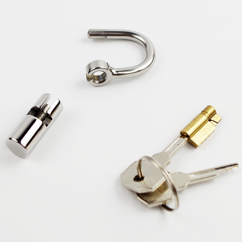 Titanium 5mm Dring Prince Albert Chastity Cage Glans Puncture Piercing Locked Bdsm Cock Ring Lock - 5