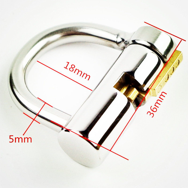 Titanium 5mm Dring Prince Albert Chastity Cage Glans Puncture Piercing Locked Bdsm Cock Ring Lock - 1