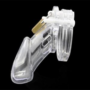 Adult Male Chastity Device Cock Cage Penis Lock Cb6000 With 5 Rings