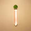 Gs30-radish