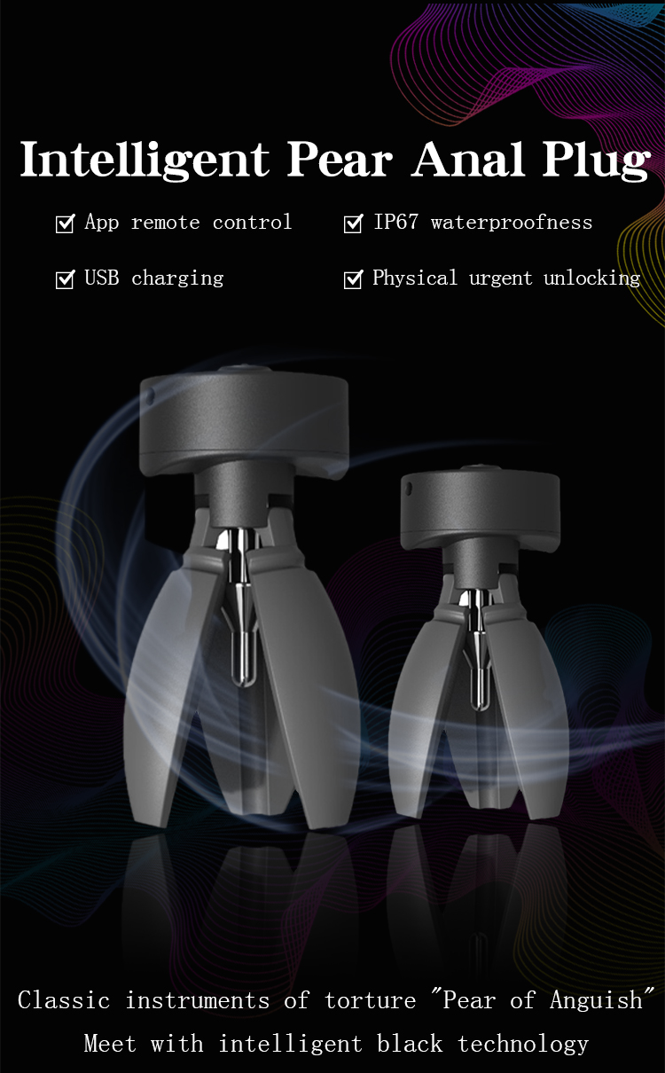 Remote Controlled Silicone Vibrator Anal Plug Massager Unisex Chastity Lock Sex Toy For Pleasure - 1