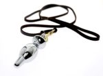 Ass On Leash Inch - Your Sub Stainless Steel Anal Plug With Lock Expanding Asslock Butt Big Buttplug Trainer - 3