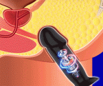 Silicone Prostate Massage Vibration Anal Dildo 5size Big Beads Butt Plug G Spot Stimulate Sex Toys For Couples - 3
