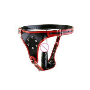 Dildo Women Gay Chastity Belt Strap On Harness Lesbian Strapon Sex Toys For Men - 2