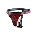 Dildo Women Gay Chastity Belt Strap Harness Lesbian Sex Toys For Men - 6