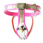 Chastity Belt Stainless Steel Female Devices Fetish Short Y-type Bondage Constraint Pants With Lock Belts G7-5-26 - 3
