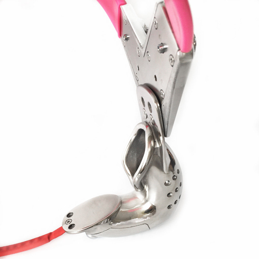 Stainless Steel Female Chastity Belt Ystyle Red With Anal Beads Plug Bdsm Fetish Bondage Restraints Womans Sex Toy - 6