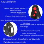 Remote Control Vibrator Electric Shock Anal Dildo Butt Plug Women Man Strapon Prostate Massager Sex Machine Clitoris Stimulator - 5
