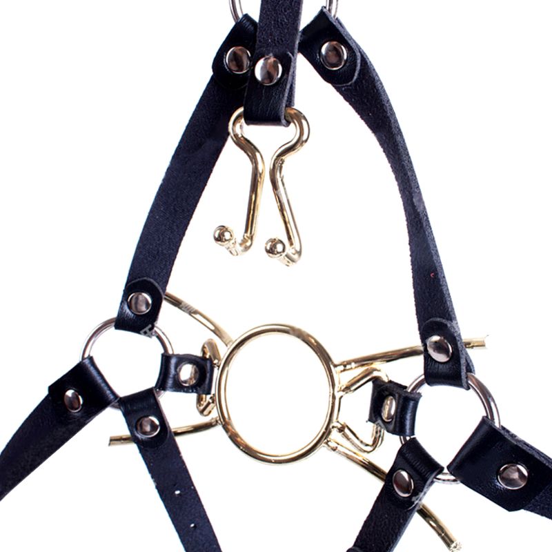 Deluxe Spider Gag Adult Toy Expandable Restraints Oral Fixation Open Mouth Gag Slave Bondage Fantasy Erotic Play - 4