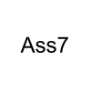 Ass7