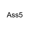 Ass5