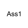 Ass1