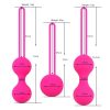 S M L Pink 3pcs