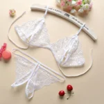 Sensual Lace Transparent Lingerie Set Embroidered Bra And Briefs Pushup - 4